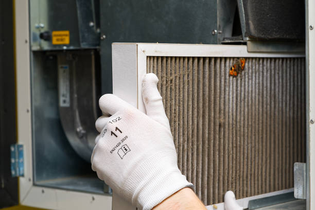 Best Ductwork Cleaning Services  in Clay, CA